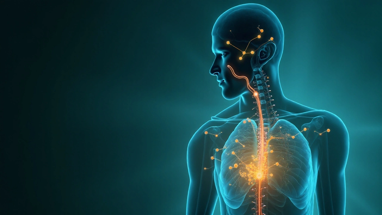 Safety Profile and Common Side Effects